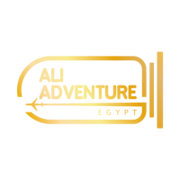 ALI-ADVENTURE-1-768x768